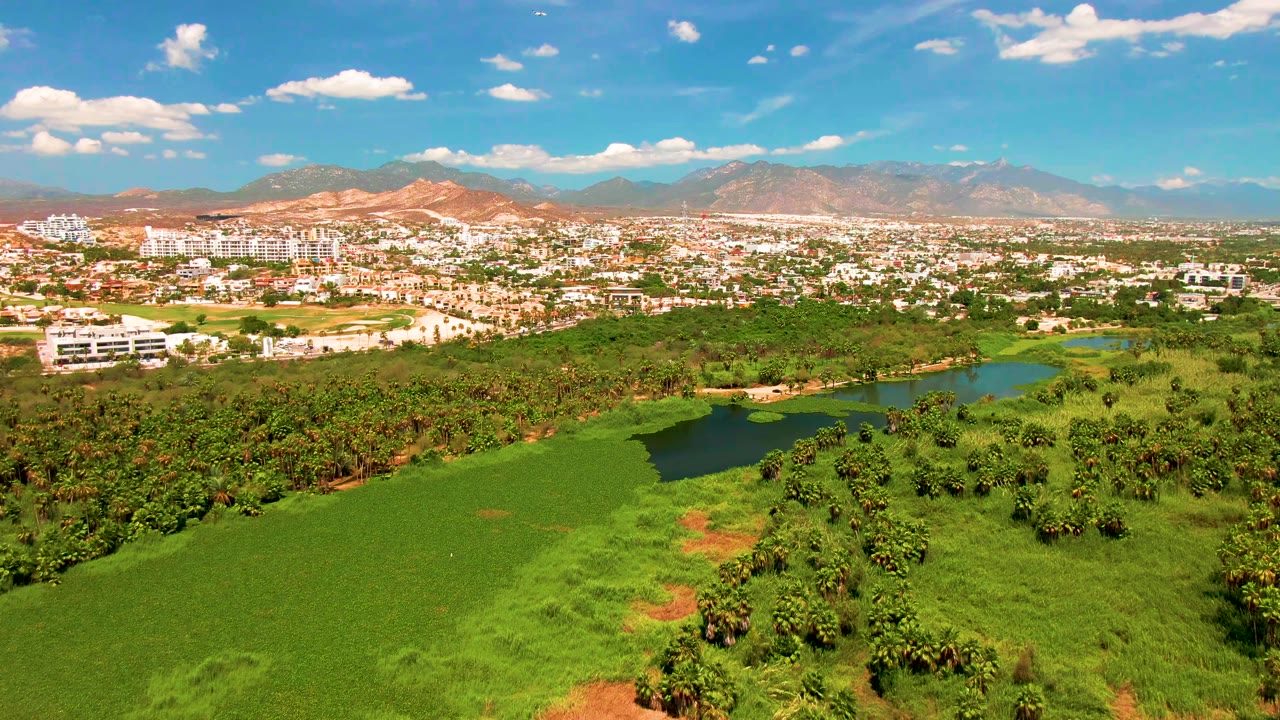 High aerial frame in San Jose Del Cabo showing mixed green fields and tree clusters, a small water body at mid-right, town buildings across the horizon line, mountains, and no visible people.