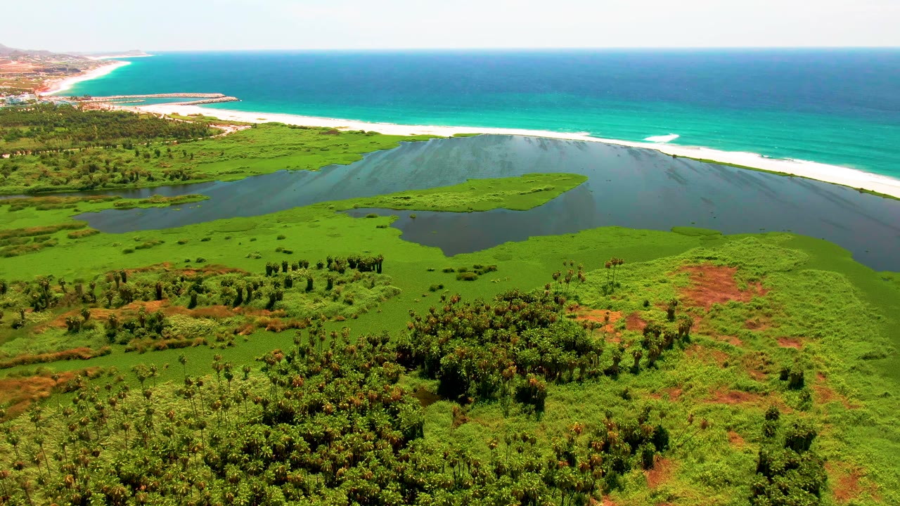 High aerial view over San Jose Del Cabo wetland terrain, with darker lagoon water cutting through green vegetation and turquoise ocean meeting a bright beach, no visible people.