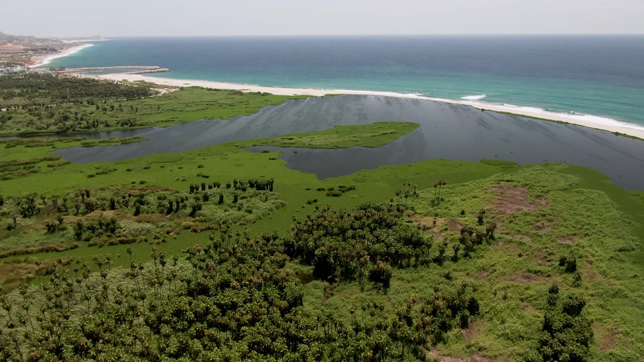 Aerial frame in San Jose del Cabo with the lagoon centered, green wetland patches around it, and ocean surf running along the upper shoreline with no visible people.