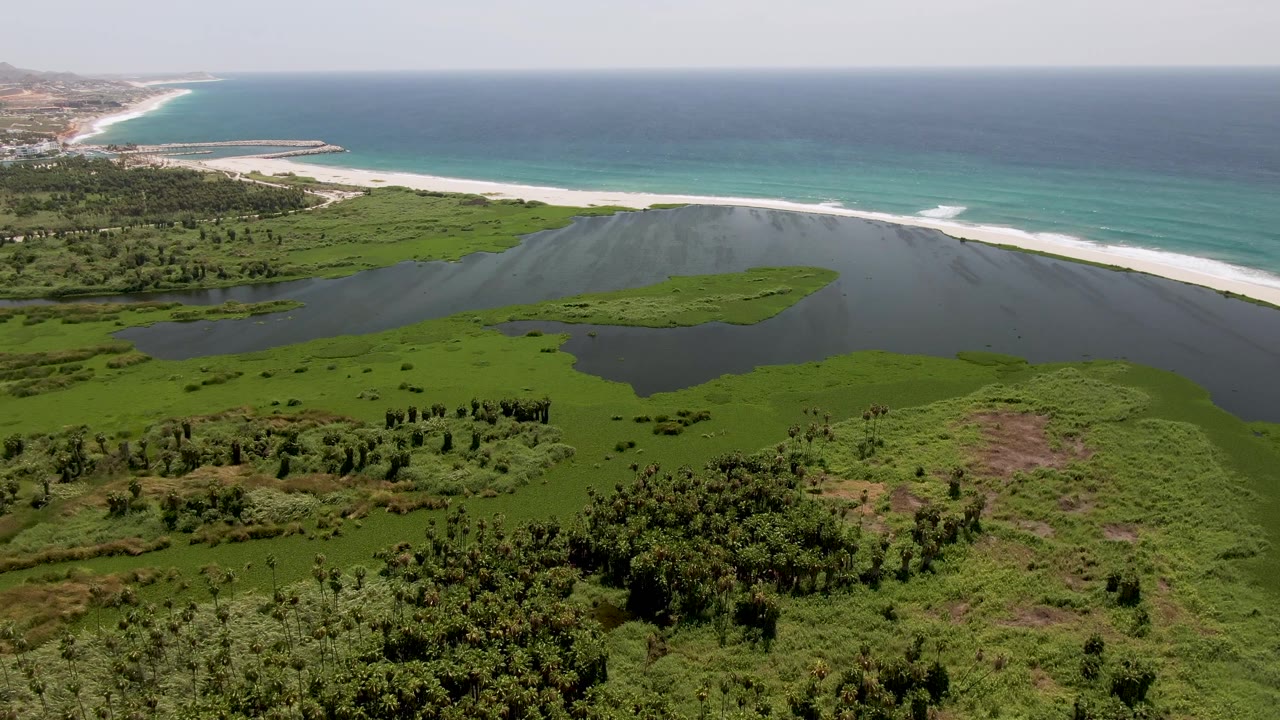 Aerial view over a green coastal lagoon in San Jose Del Cabo, with a sandy beach and blue ocean beyond it, and no visible people.