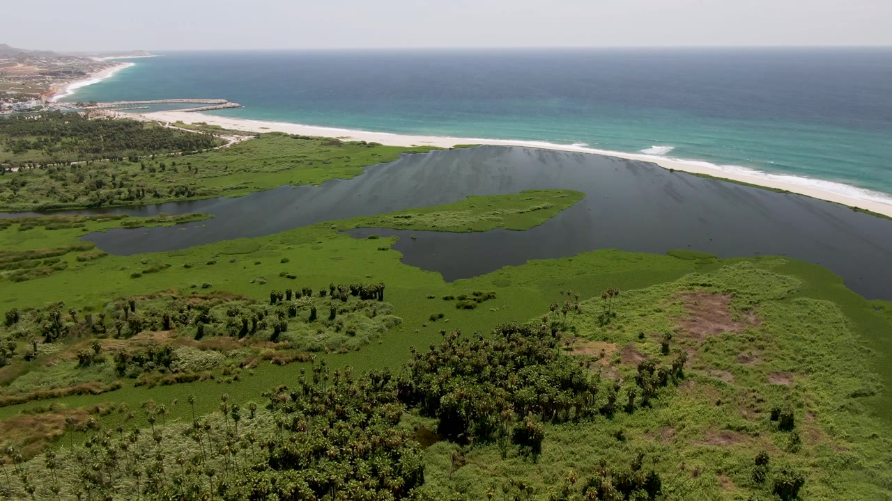 Wide aerial frame in San Jose Del Cabo showing dark lagoon water bordered by dense green vegetation, with white surf running along the beach and no visible people.