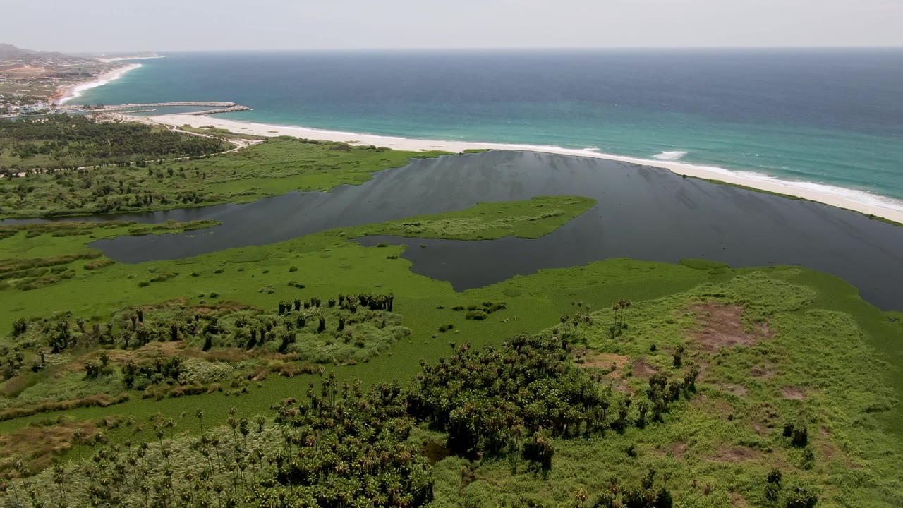 San Jose Del Cabo aerial still with foreground wetland vegetation, a curved lagoon, pale beach, turquoise nearshore water, and no visible people.