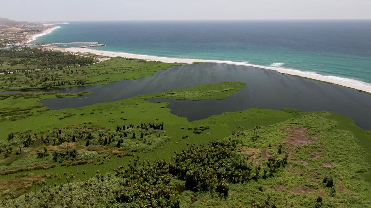 Lagoon and green coastal vegetation below a beach and rolling ocean waves.
