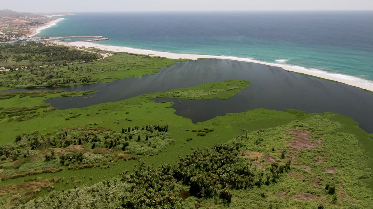 Aerial frame over San Jose Del Cabo with the lagoon centered, a green island-like patch in the water, surf along the beach, and no visible people.