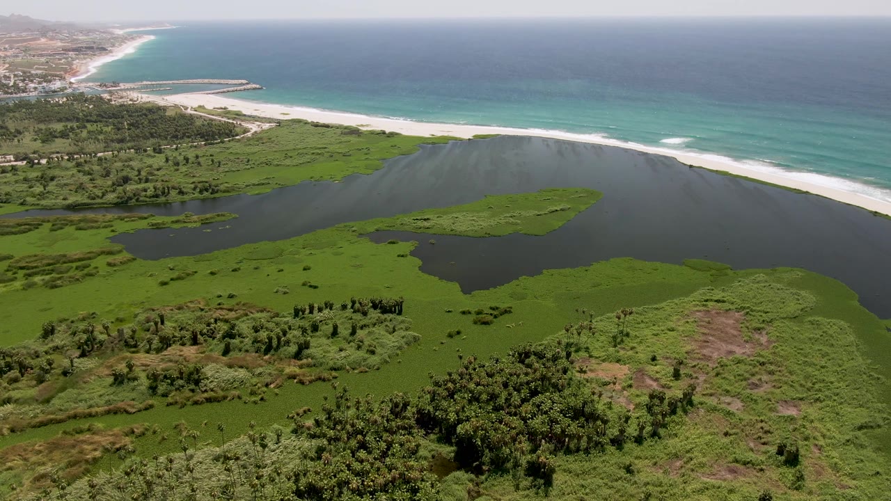 San Jose Del Cabo aerial view showing dark lagoon water against bright green wetlands, a pale beach strip, blue ocean, and no visible people.