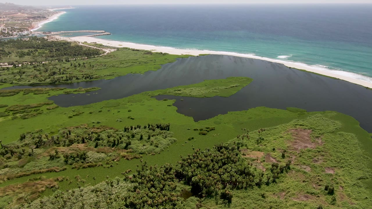 Mid-clip aerial frame from San Jose Del Cabo with foreground vegetation, the lagoon crossing the center, surf breaking on the beach, and no visible people.