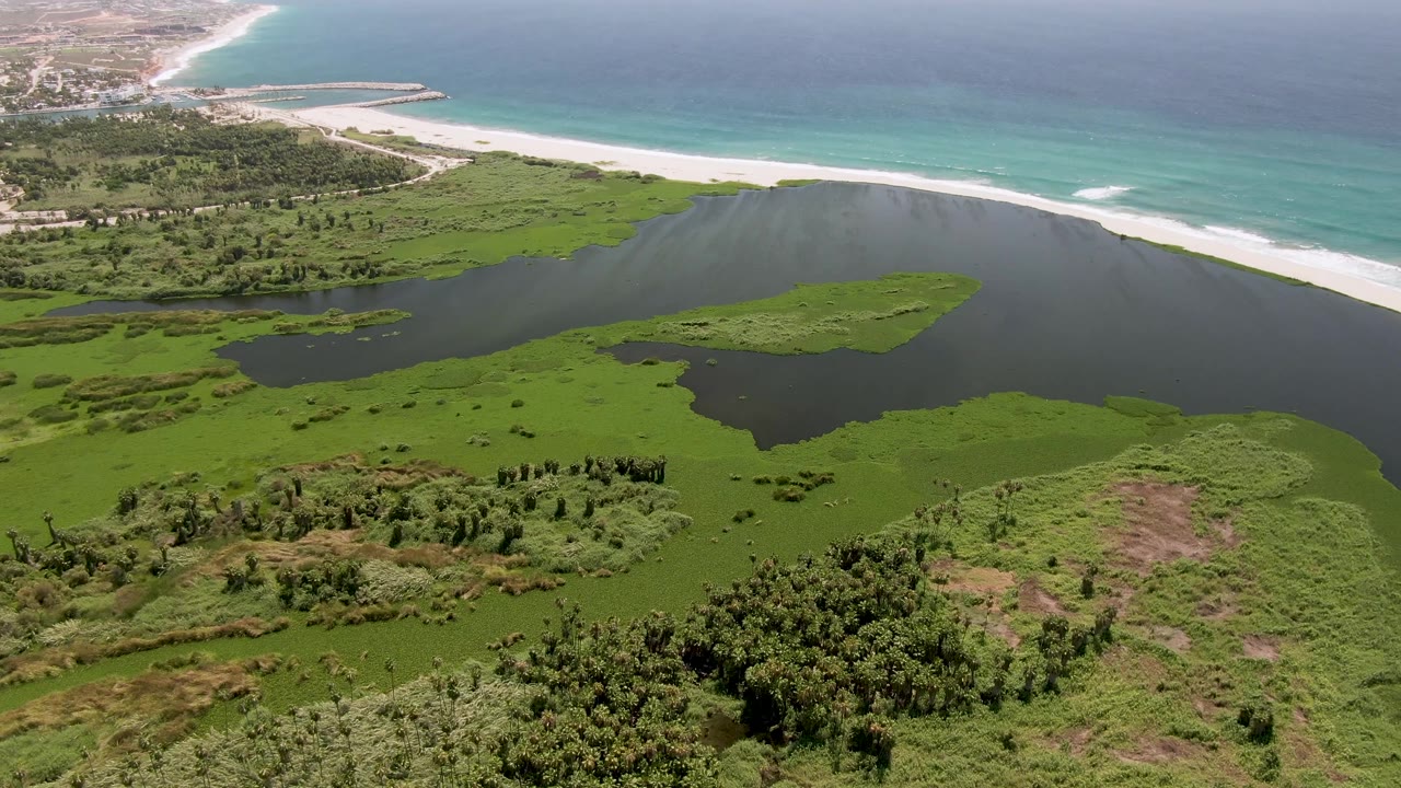 Aerial frame over San Jose Del Cabo wetland with green vegetation around a dark lagoon, a pale sand beach, turquoise ocean, and no visible people.