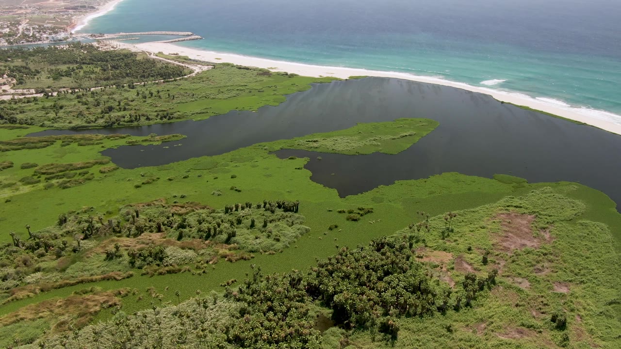 Aerial view in San Jose Del Cabo with the lagoon centered, green marsh patches below, a narrow sandy beach above, turquoise surf, and no visible people.