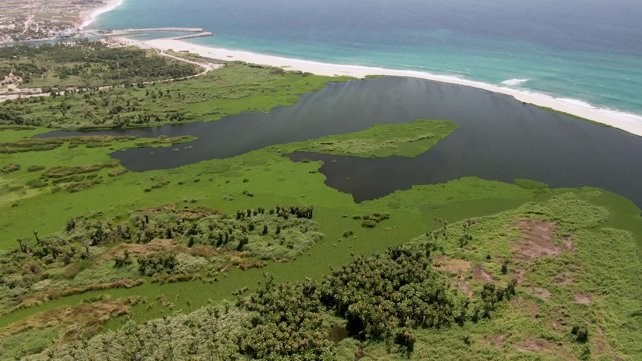 San Jose Del Cabo aerial frame showing wetland vegetation and lagoon water below, beach and ocean across the top, faint distant coastal development, and no visible people.