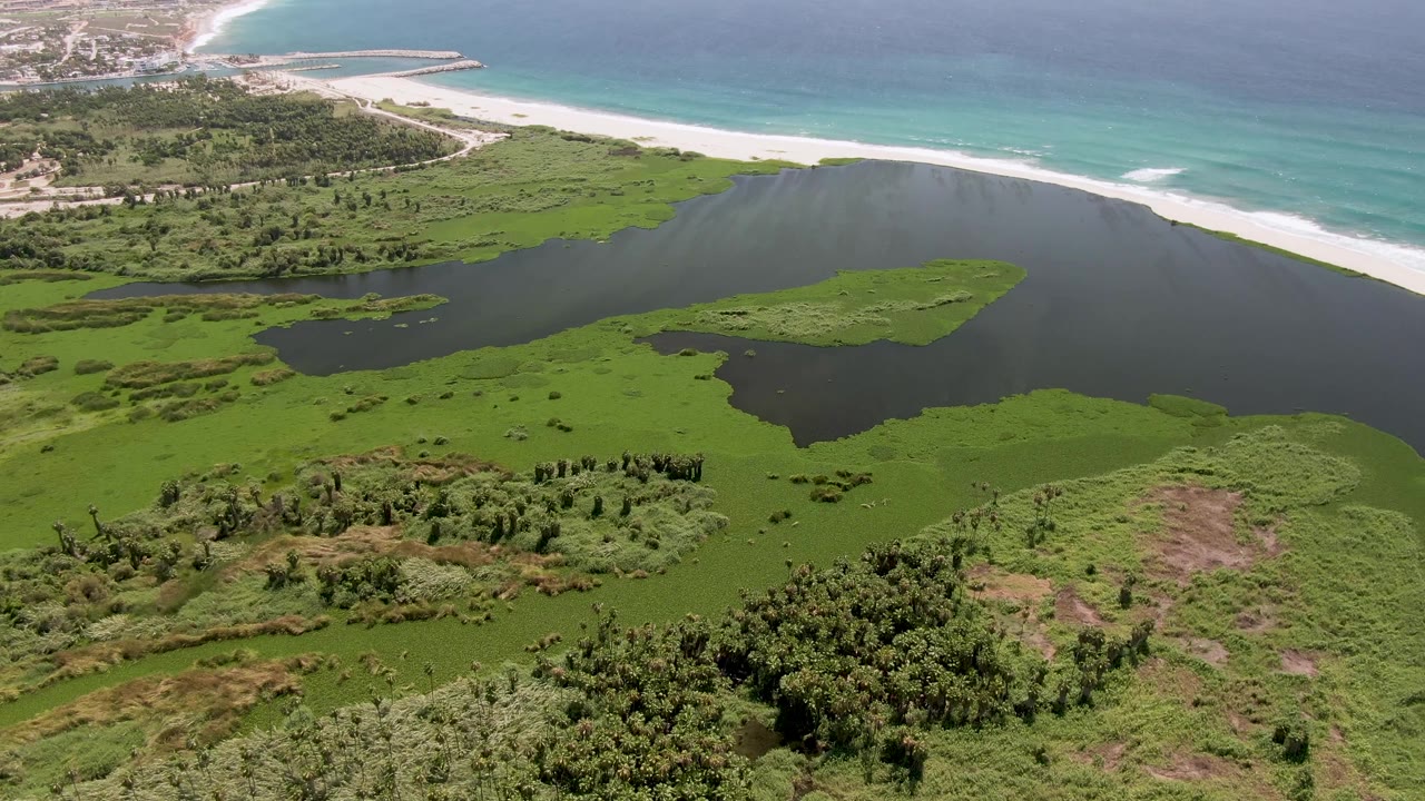 Aerial coastal wetland with dark lagoon water, green vegetation, beach, and blue ocean