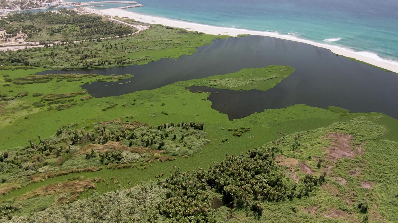 Aerial frame in San Jose Del Cabo showing the lagoon slightly more centered, with bright green wetland edges, ocean surf beyond the sand, and no visible people.