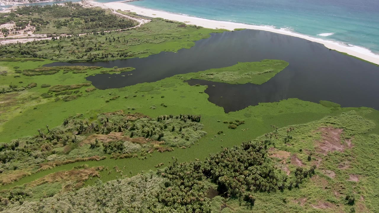 Aerial coastline scene with green wetland vegetation, a dark lagoon, sandy beach, and ocean waves.
