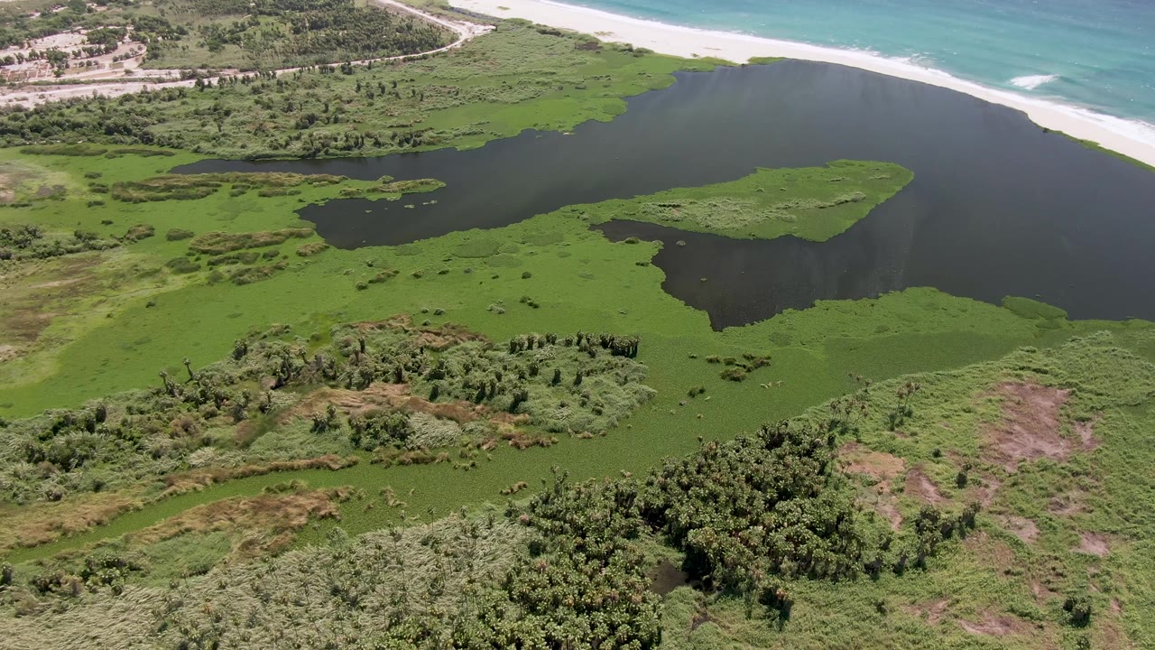 Aerial view in San Jose del Cabo showing algae-covered lagoon edges, a central green vegetated island, brush in the foreground, pale beach sand, ocean water, and no visible people.