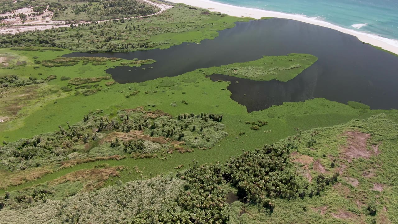 San Jose del Cabo aerial frame with the lagoon filling the center, green algae along the water margins, dense shrubs at the lower edge, ocean surf near the top right, and no visible people.