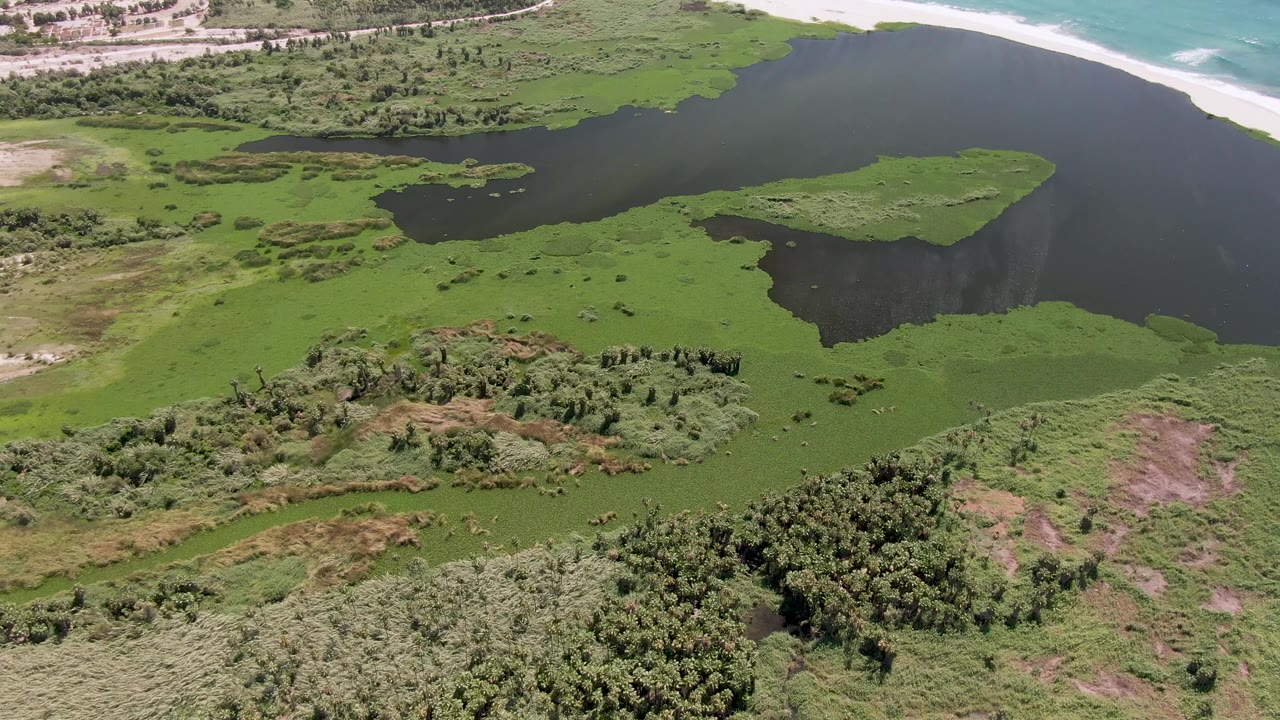 Aerial frame from San Jose Del Cabo showing green algae mats around dark shallow lagoon water, brushy vegetation in the foreground, sandy beach and ocean surf in the distance, and no visible people.