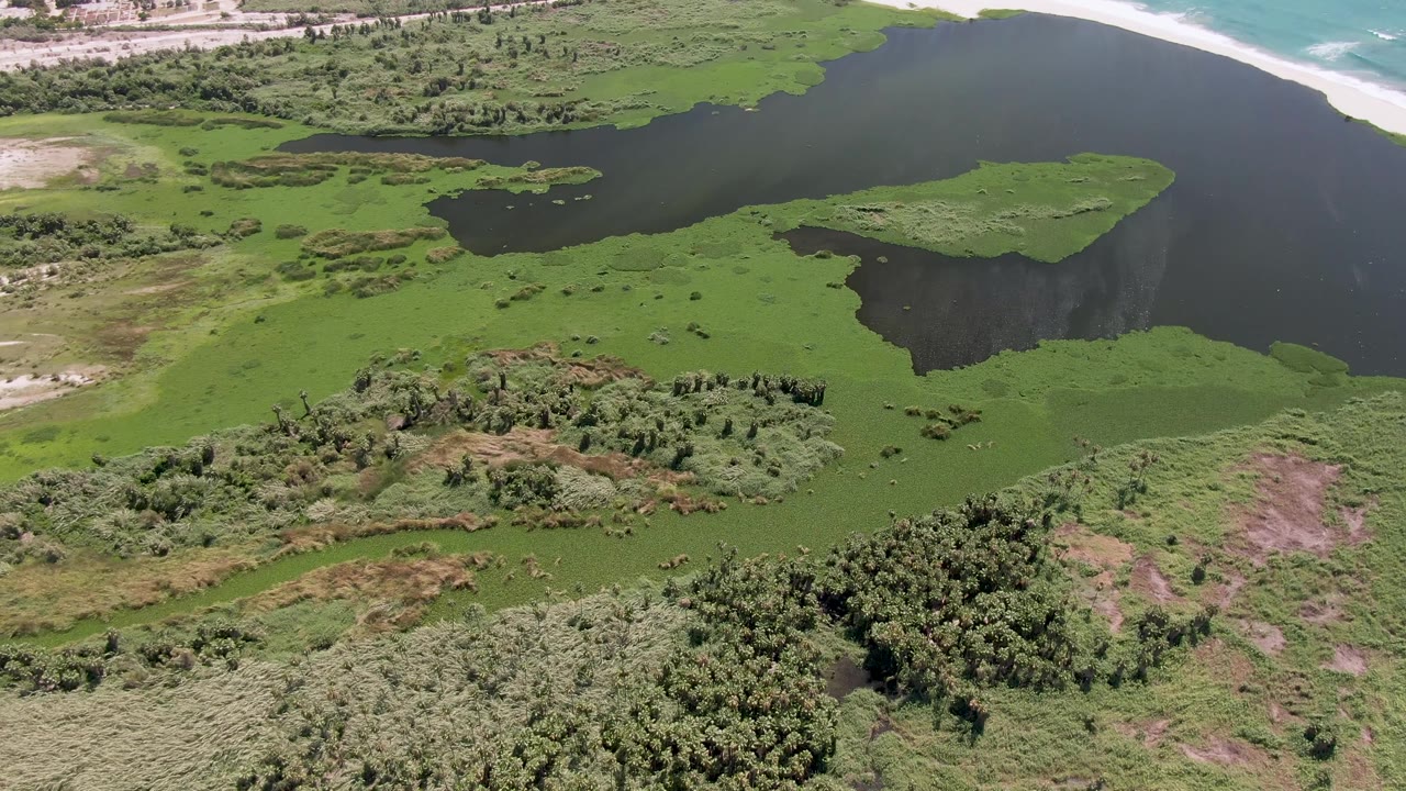Aerial view in San Jose Del Cabo with the lagoon curving across the top of frame, green wetland growth forming islands and mats below it, beach and ocean beyond, and no visible people.