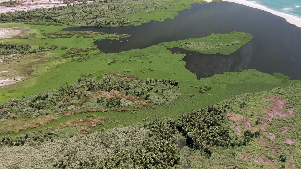 Aerial coastal wetland with dark lagoon, green algae, shrubs, sand, and ocean.