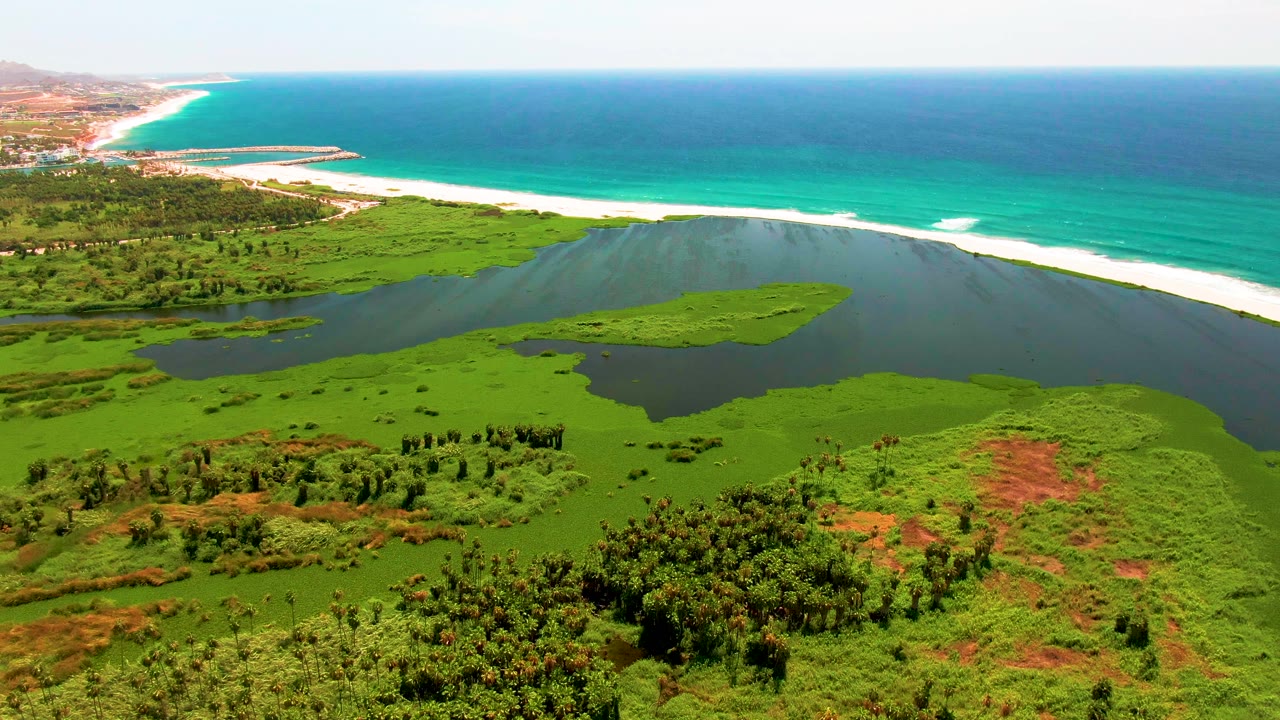 Aerial view in San Jose Del Cabo holds on the lagoon and green marsh, with the pale beach and white wave break stretching across the upper frame and no visible people.