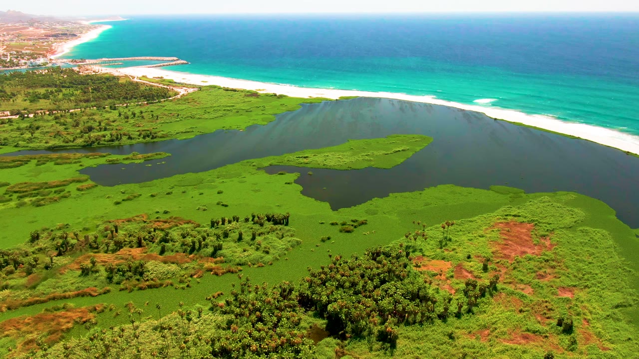 Aerial frame over San Jose del Cabo wetlands with dark lagoon water, bright green vegetation, a white beach, turquoise ocean, and no visible people at the start of the clip.