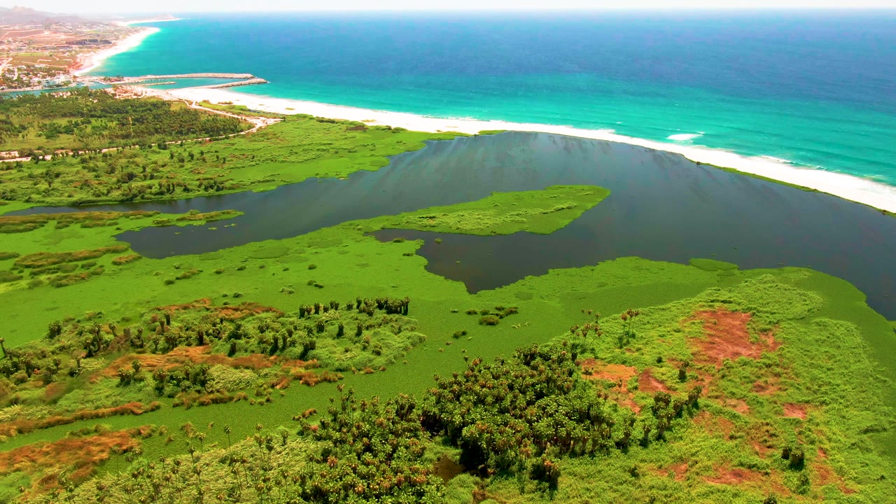 Aerial view in San Jose del Cabo showing a broad green marsh, calm dark water, a pale sand beach, turquoise surf line, and no visible people one second into the clip.