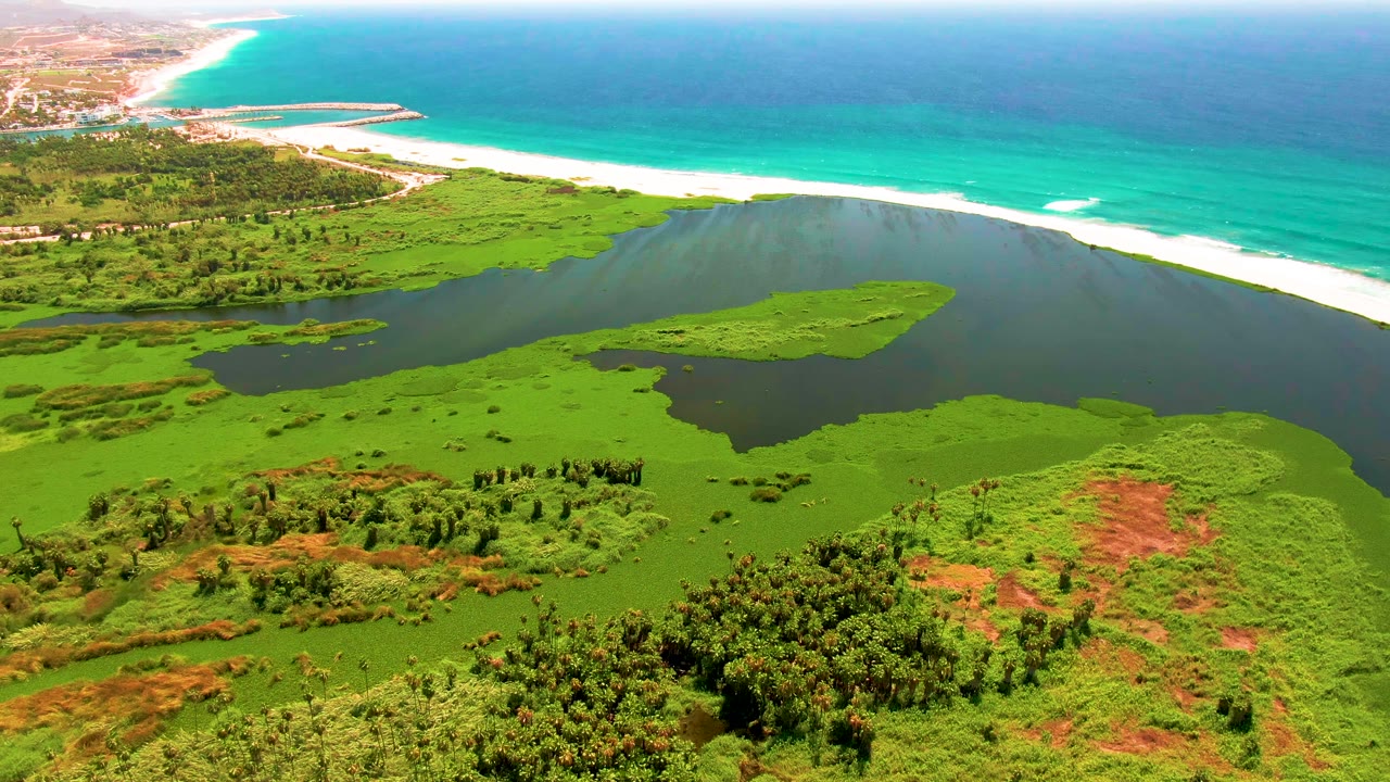 San Jose del Cabo aerial frame with small marsh islands inside dark lagoon water, green vegetation below, a long white beach above, blue ocean, and no visible people.