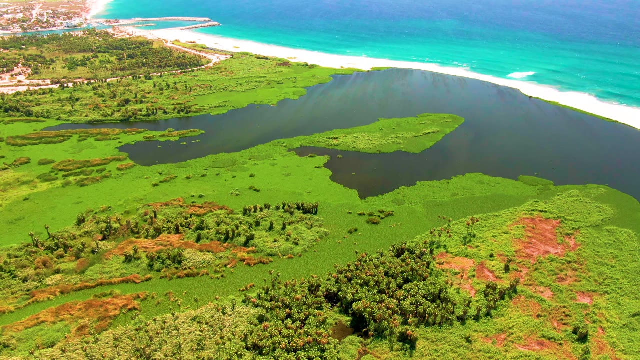 Aerial view over a San Jose del Cabo coastal wetland with green vegetation, a dark lagoon, pale beach, turquoise ocean, surf lines, and no visible people.
