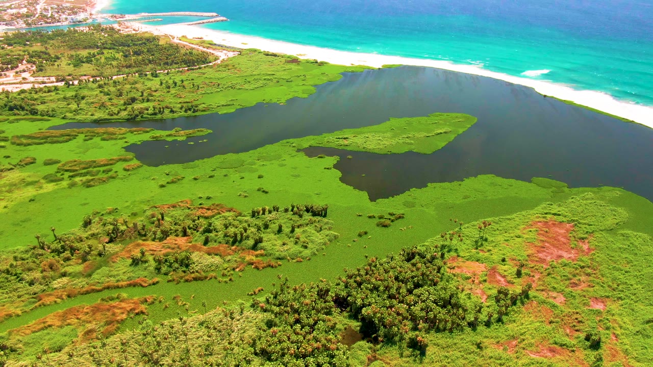 Aerial frame in San Jose del Cabo showing the lagoon centered between bright wetland vegetation and a turquoise shoreline, with no visible people.