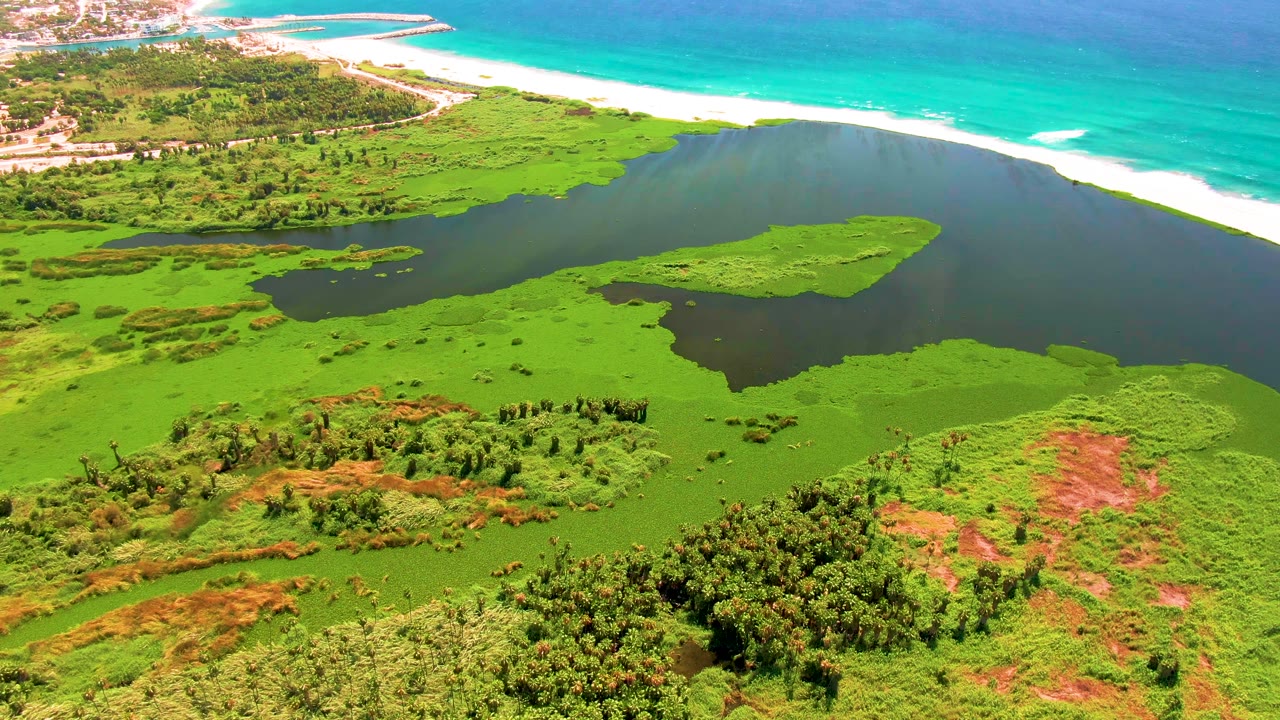 Aerial view of the San Jose del Cabo wetland with dense green vegetation in the lower frame, lagoon water through the middle, beach and ocean beyond, and no visible people.