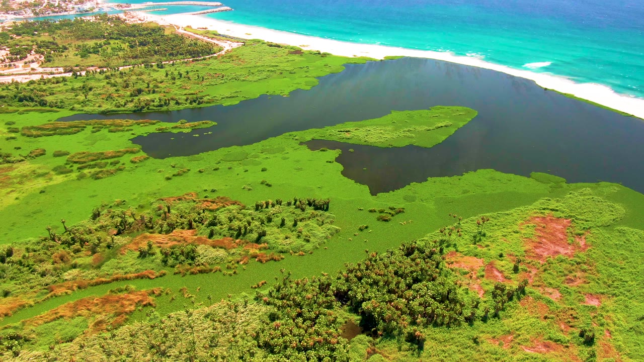 Aerial coastal wetland with lagoon, vegetation, beach, and ocean waves.