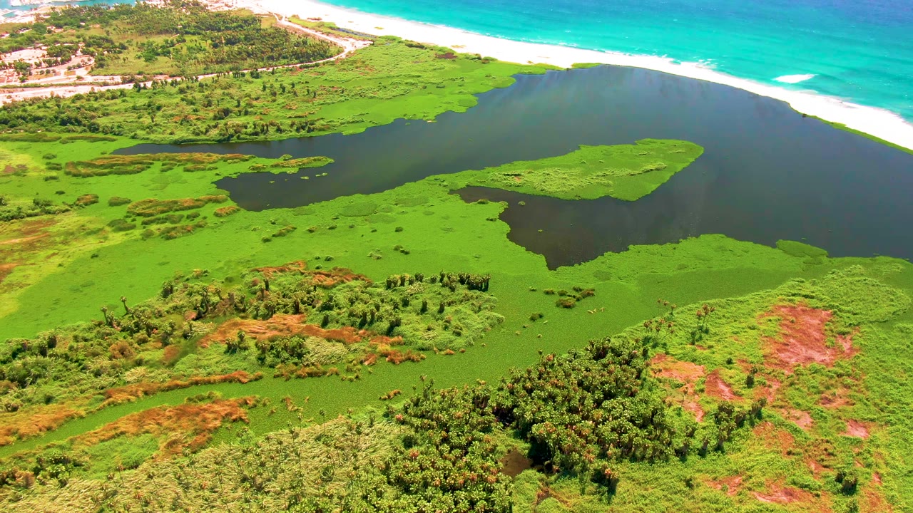 Aerial frame over San Jose del Cabo wetlands with a dark lagoon, bright green vegetation, beach surf at the top edge, and no visible people.