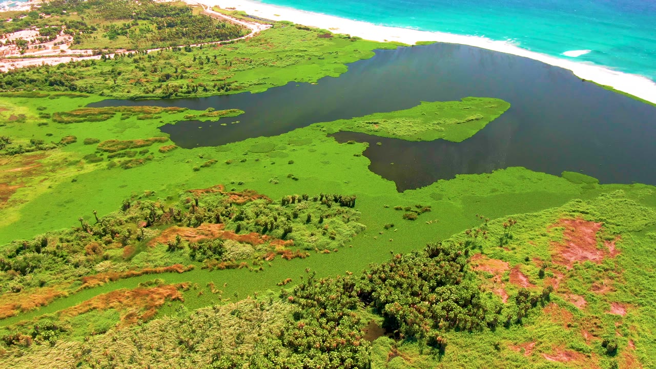 Aerial view in San Jose del Cabo showing wetland islands inside dark lagoon water, a bright surf line beyond the beach, and no visible people.