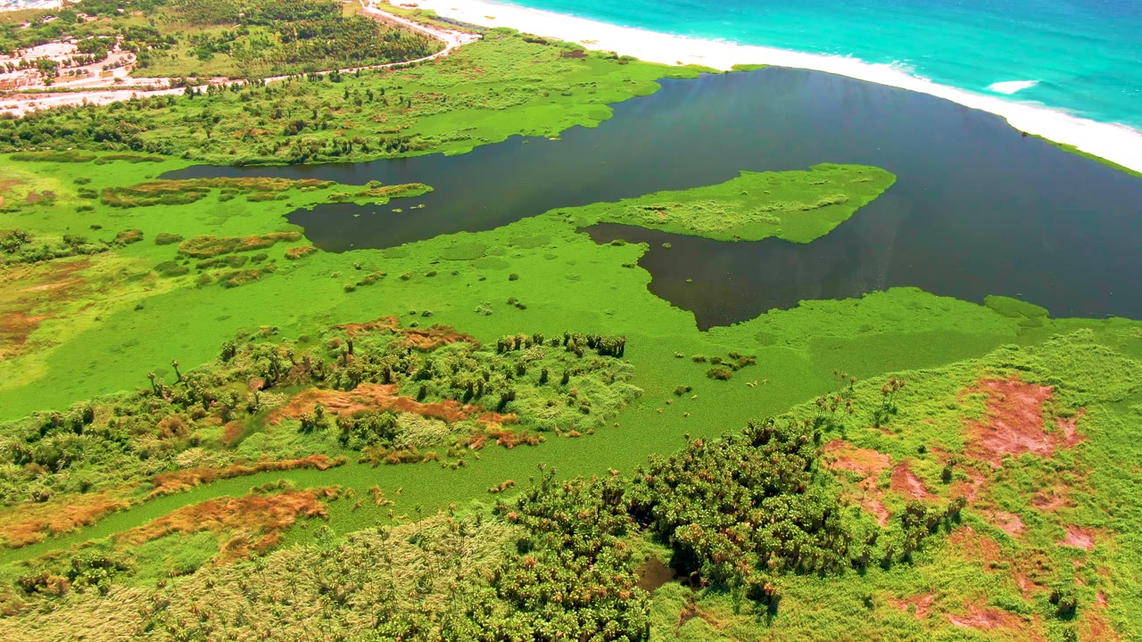 Aerial frame over San Jose del Cabo with a broad dark lagoon bordered by saturated green wetlands, pale beach, turquoise ocean, and no visible people.