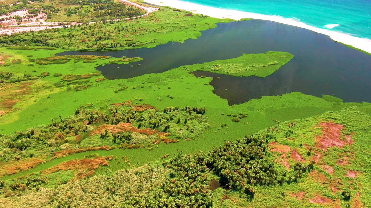 Aerial lagoon scene with green wetlands in the foreground and surf breaking along the beach.