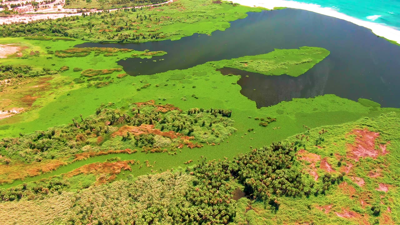 At 0:00, an aerial view over San Jose del Cabo shows green algae spread across wetland water, dark lagoon areas, sandy beach, turquoise ocean, dense vegetation, and no visible people.