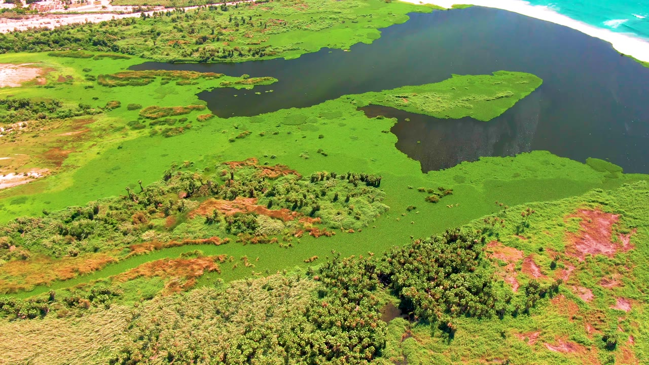 At 0:02, the San Jose del Cabo aerial view shows the algae-covered wetland stretching below a dark water body, with surf and beach in the distance and no visible people.