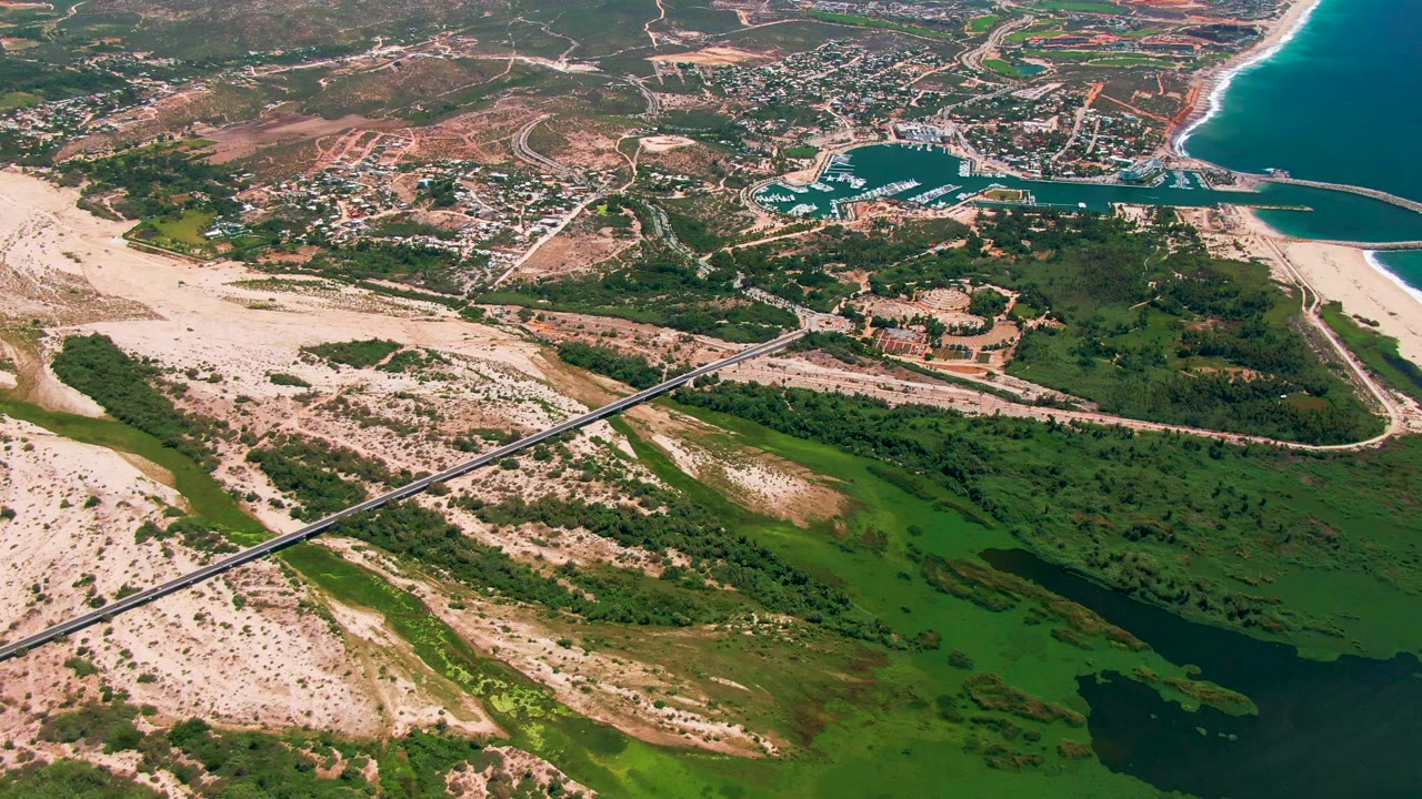 Drone view of sandy shore, green water vegetation, a diagonal bridge, marina basin, beach, and coastal town.