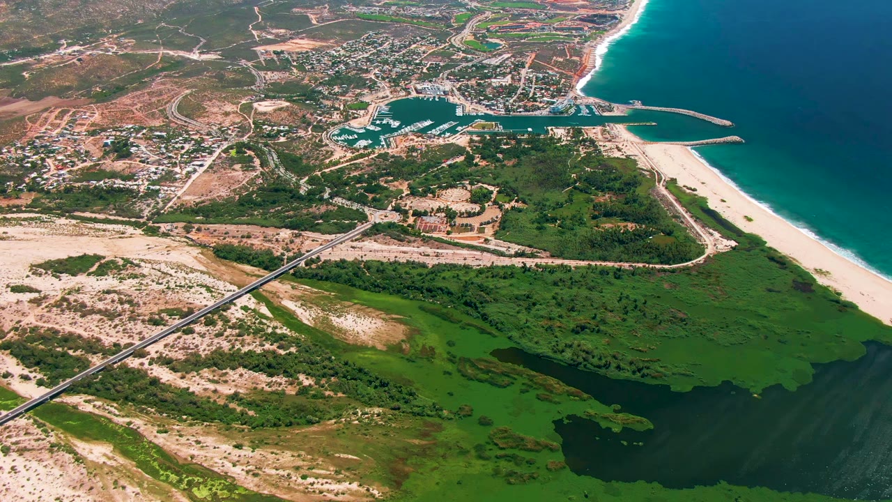 High aerial view over San Jose Del Cabo showing the marina near the top center, a pale beach along the right side, green lagoon vegetation below, roads crossing the sand, and no visible people.