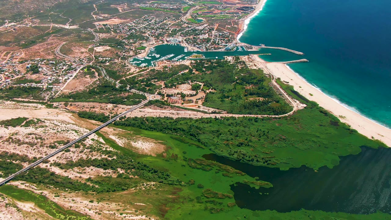 Drone-height view over San Jose Del Cabo with the marina and clustered buildings at the top, a long white beach on the right, green vegetation in the lower frame, and no visible people.