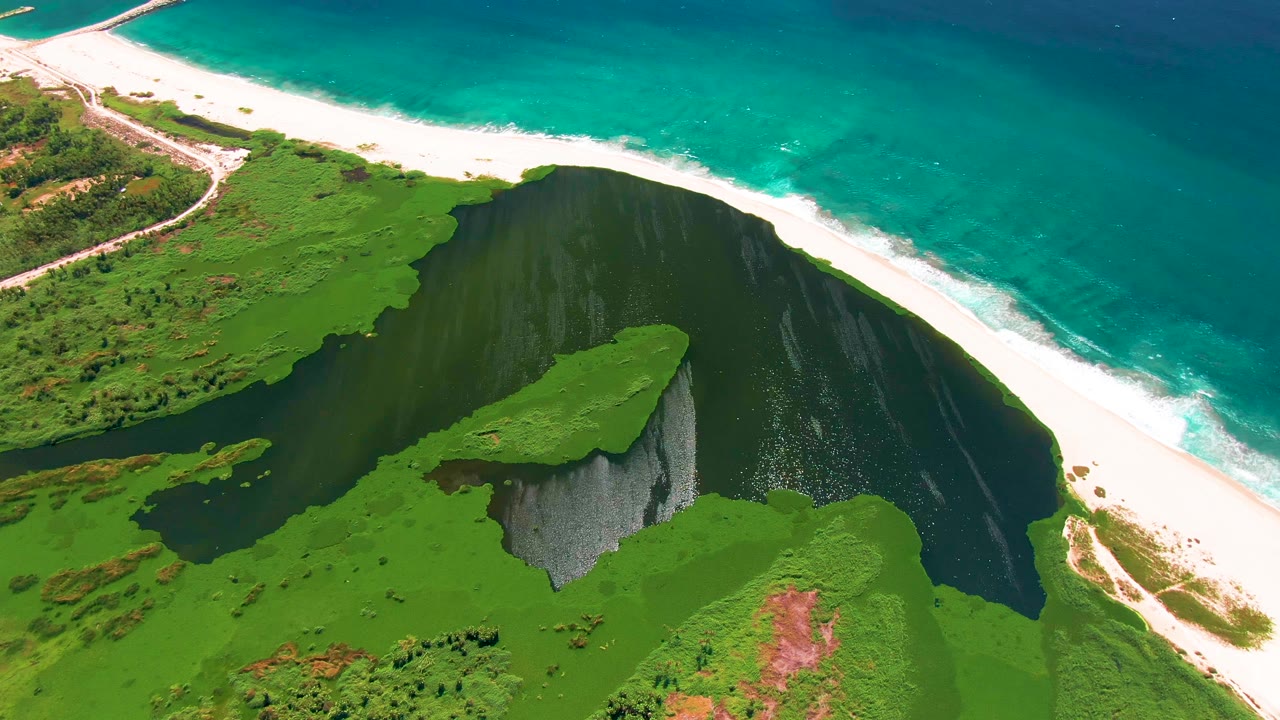 Drone-style aerial view in San Jose del Cabo with a vegetated cliff projecting into green lagoon water, a white beach curving behind it, and turquoise ocean above, with no visible people.