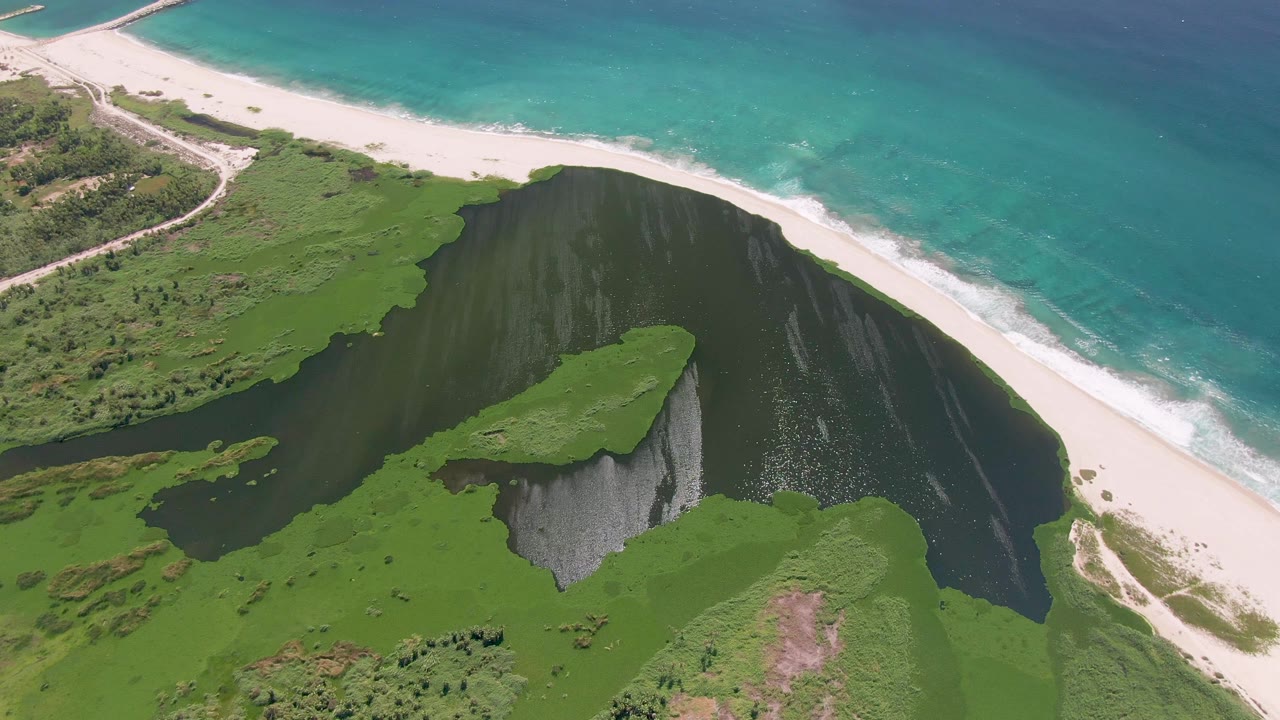Aerial view of turquoise ocean, sandy beach, dark lagoon, and green cliff