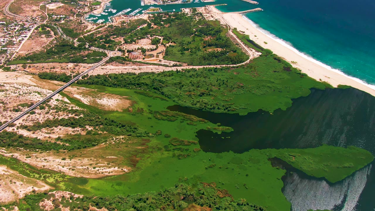 High aerial frame over San Jose del Cabo showing dark lagoon water, bright green wetland vegetation, a white sandy beach, turquoise ocean surf, a road crossing the left side, and no visible people.