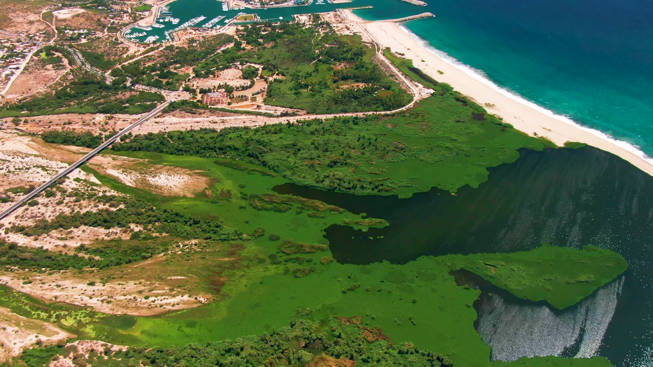Drone view of a lagoon mouth, green shoreline, beach, ocean, and road.