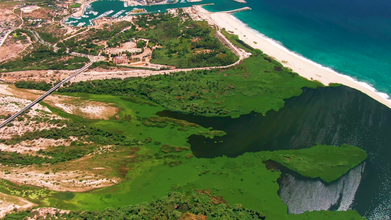 San Jose del Cabo aerial frame showing a broad patch of green wetland around dark lagoon water, a pale beach with surf beyond it, a road running across the land, distant marina-like water, and no visible people.