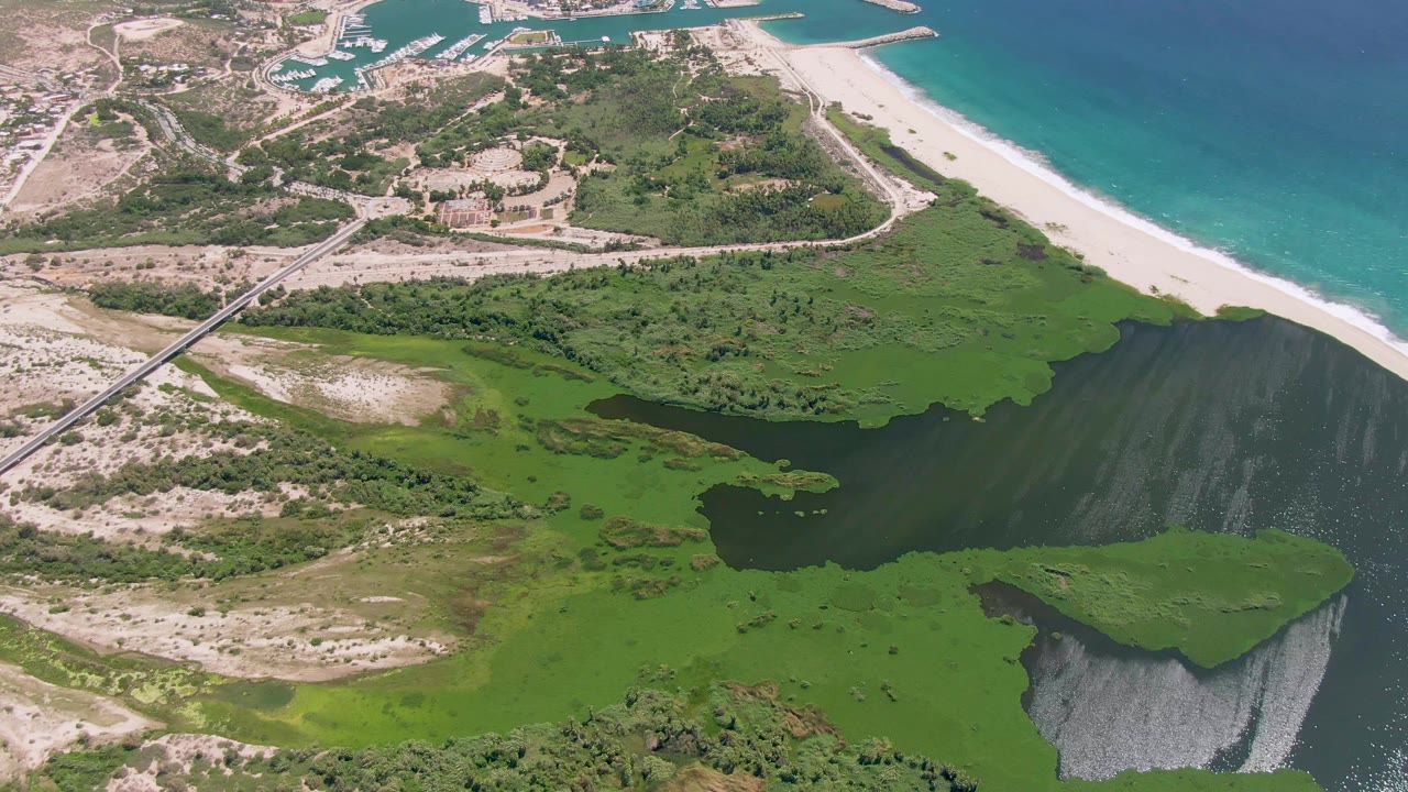 One second in, the San Jose del Cabo aerial view keeps the lagoon and marsh centered while the white sand beach and blue ocean run along the upper right, with no visible people.