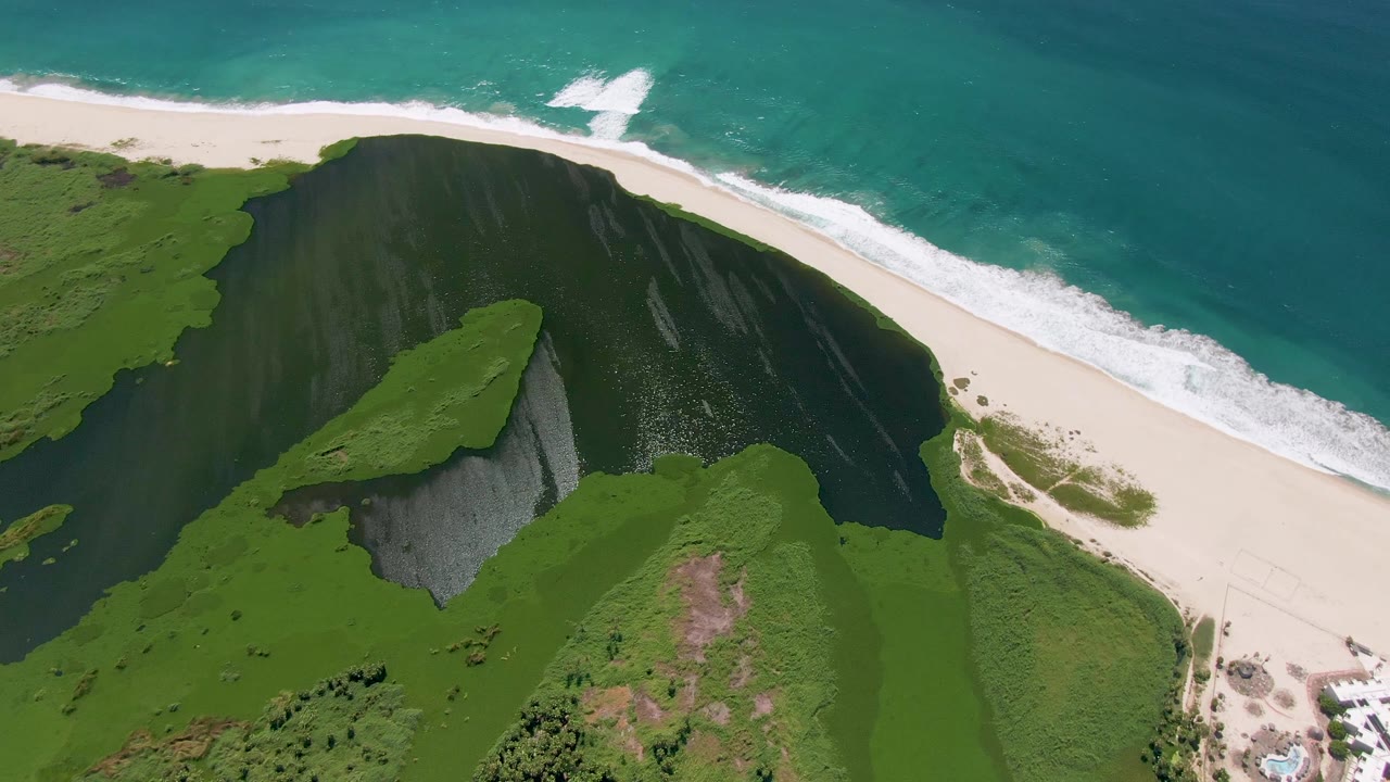 Green coastal bluff and beach with waves breaking along the shoreline.