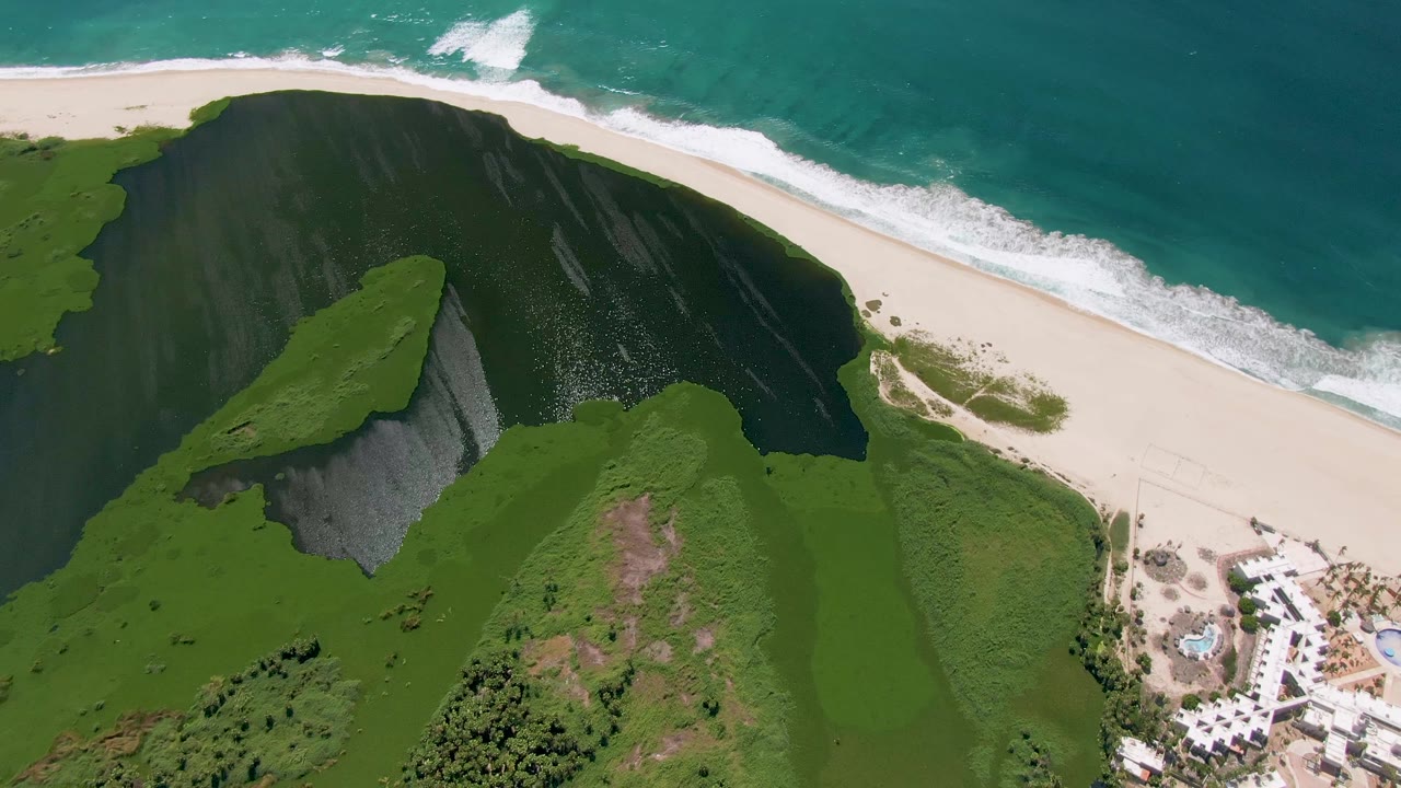 Aerial view of green hillside, sand beach, and turquoise surf