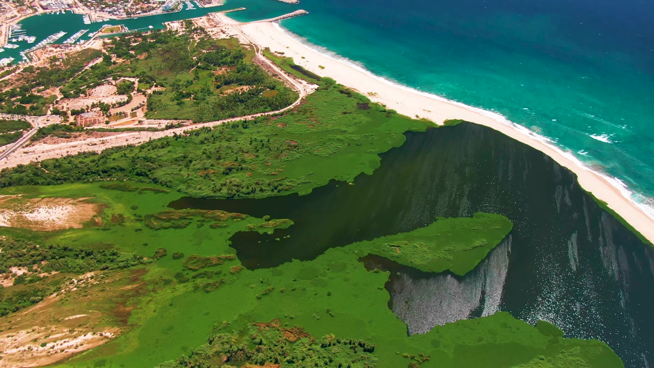 Mid-clip aerial frame shows San Jose del Cabo lagoon vegetation surrounding dark water, with the white beach and turquoise ocean running diagonally past roads and buildings, no visible people.