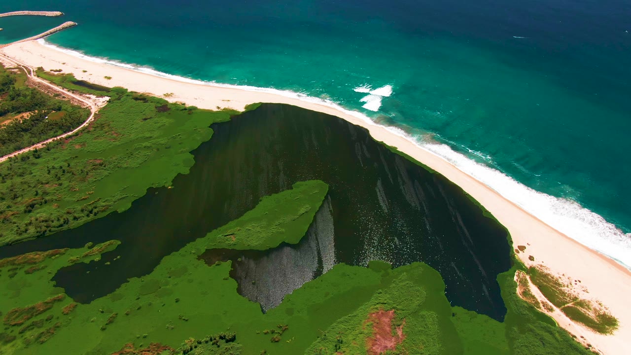 Drone frame over San Jose Del Cabo coastline with the cliff face centered lower in the view, a pale beach arcing across the frame, blue-green ocean beyond, and no visible people.