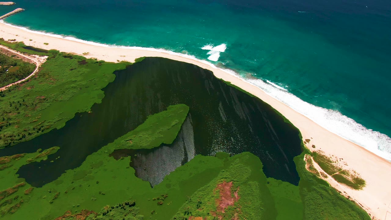 Closer aerial angle of cliff vegetation, dark water, sandy beach, and ocean