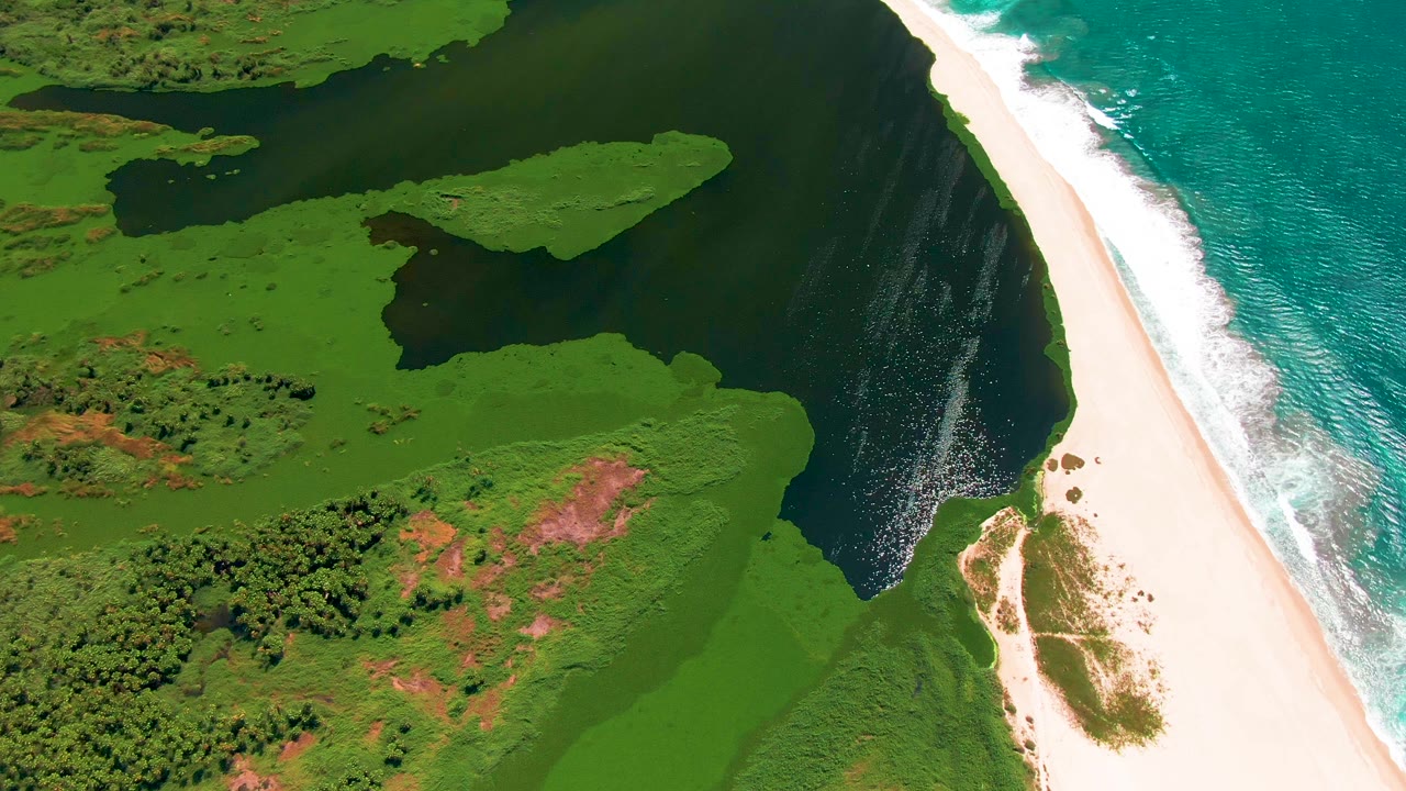 Aerial frame over San Jose del Cabo, Mexico, with the river widening near the beach, a small green island-like vegetation patch in the water, and white waves along the ocean edge with no visible people.